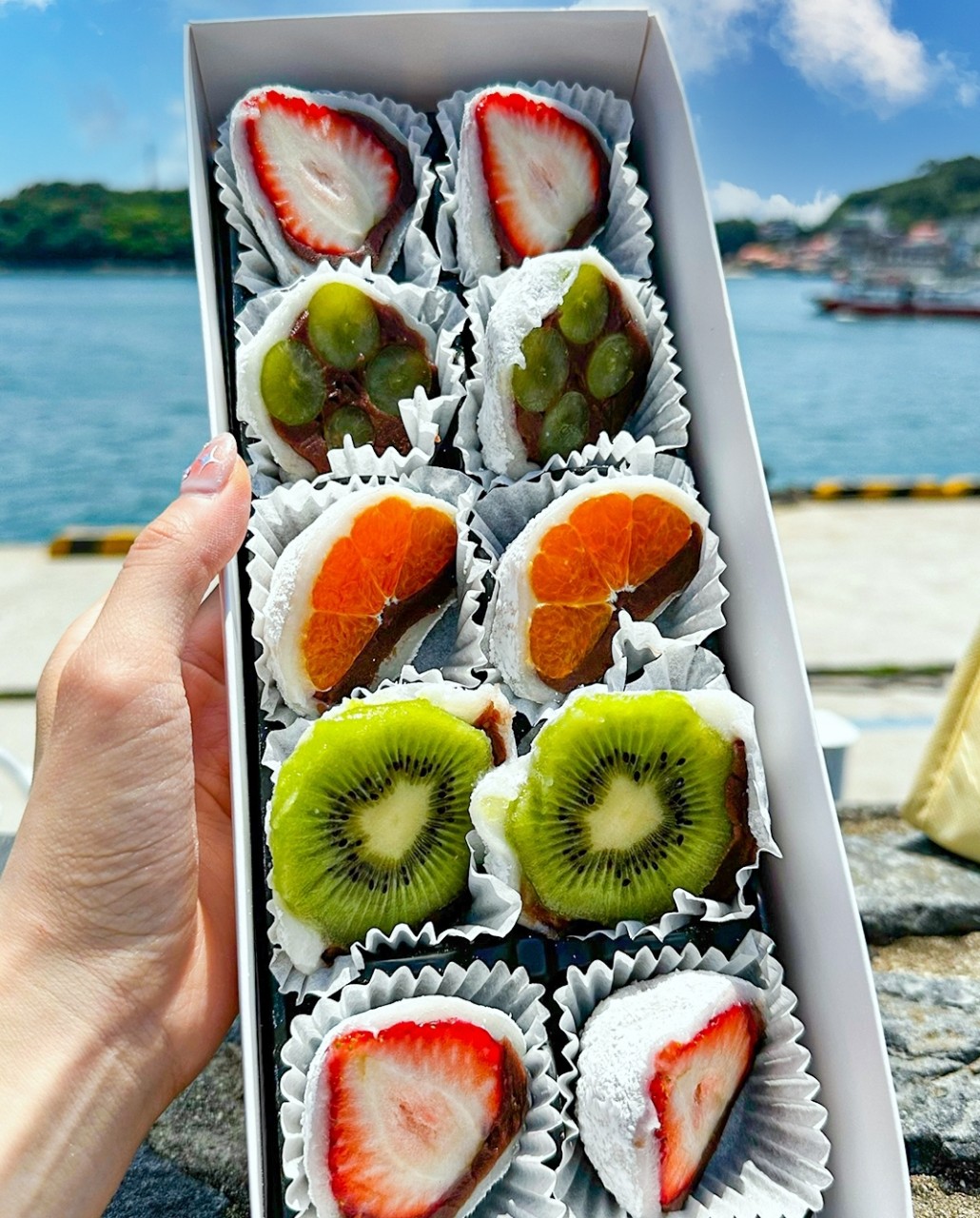 서녹씨 과일모찌 모둠 — 딸기·귤·키위·샤인머스캣 서녹씨 과일모찌 모둠 — 딸기·귤·키위·샤인머스캣